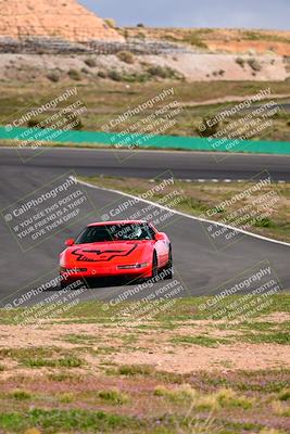 media/Mar-02-2024-West Coast Racing (Sat) [[b06bdffa9f]]/Blue Group/Session 3 (Turns 1 and 2)/